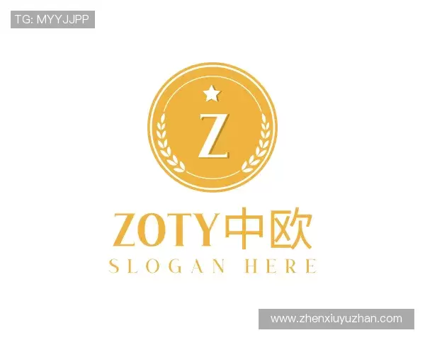 解读zoty中欧